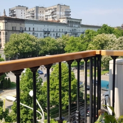 Поручень ольха